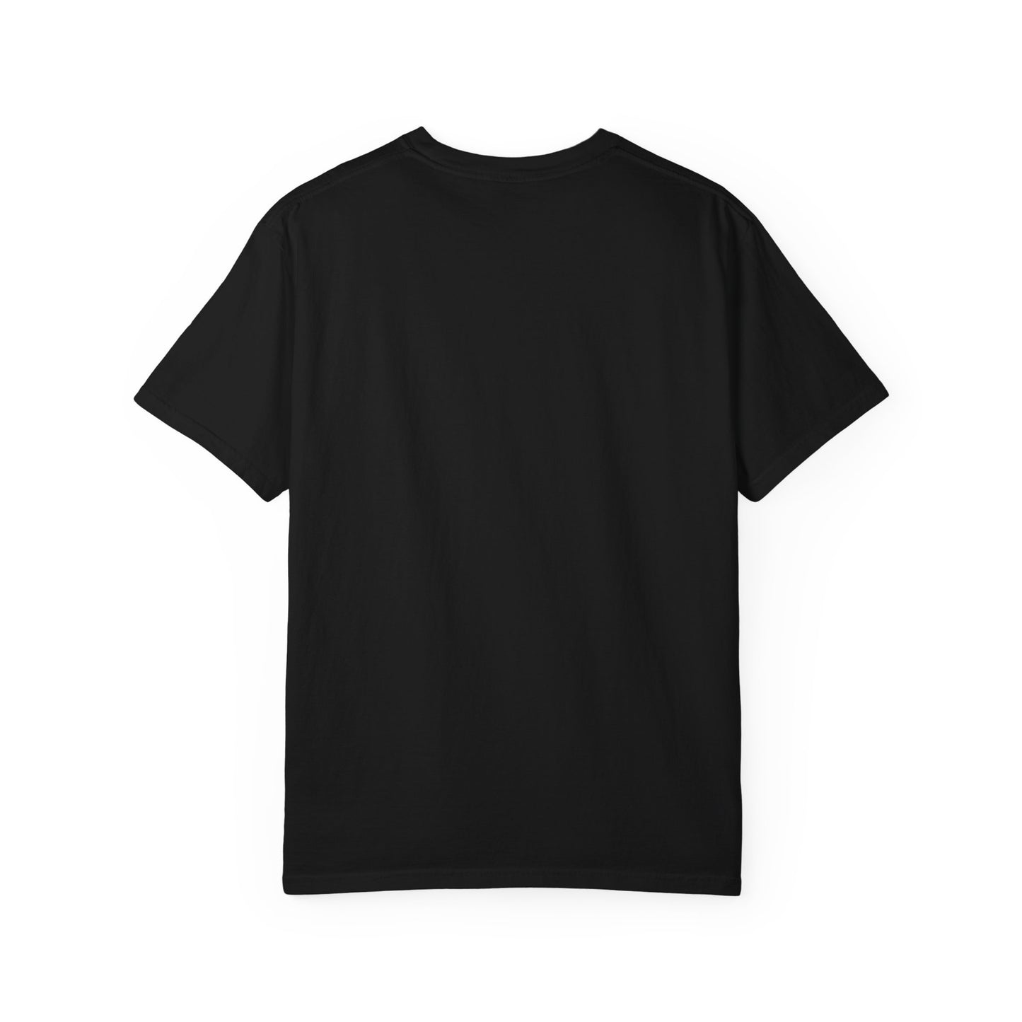Gary, IN – “The inspiration for post-apocalyptic movies.” T-Shirt, Unisex Tee, funny Gift , Vintage Style, Casual Wear, Unique Graphic Shirt