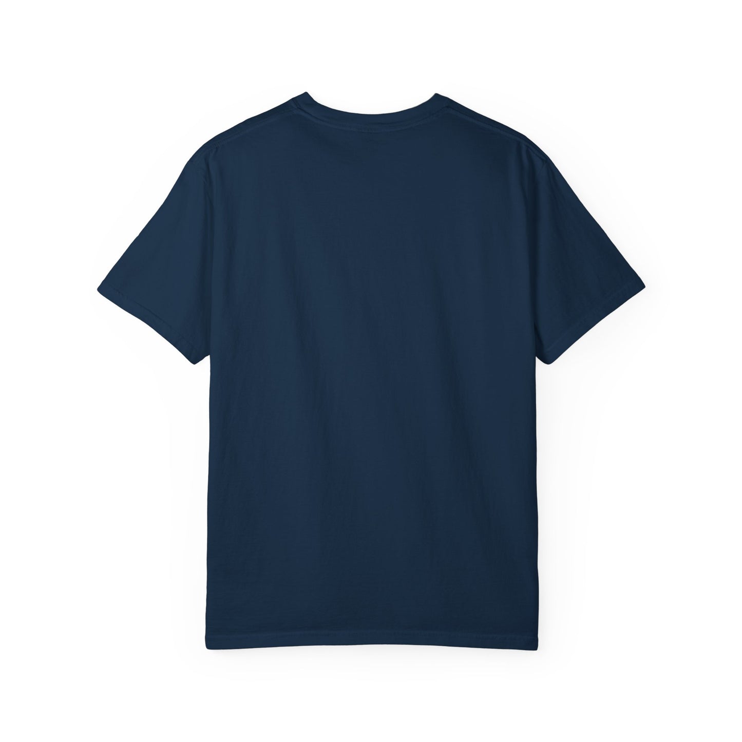 Albuquerque, NM – “Come for the meth. Stay because your car got stolen.”T-Shirt, Unisex Travel Tee, Unique Gift for Travelers, Retro Style Tee, Vacation Souvenir Shirt