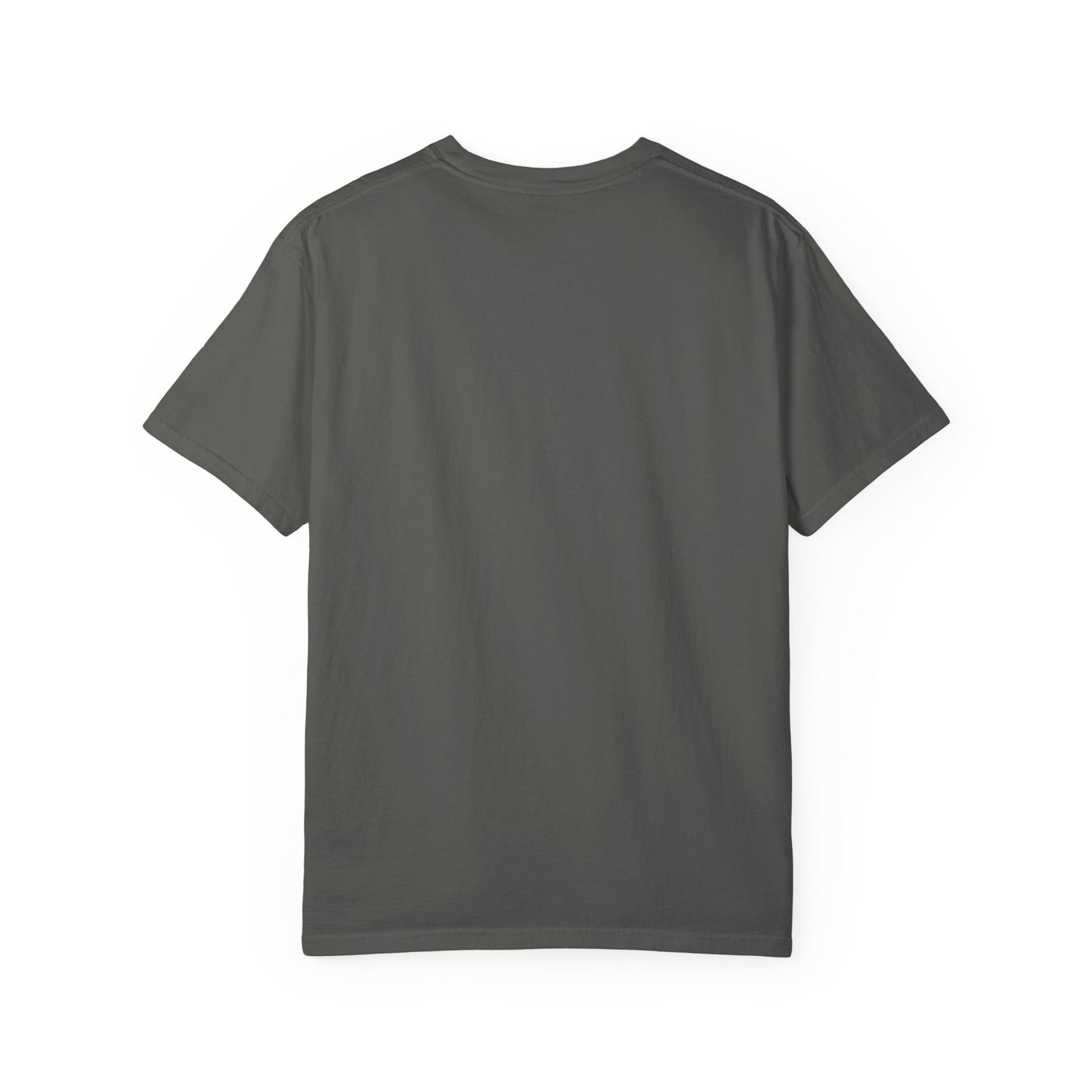 Gary, IN – “The inspiration for post-apocalyptic movies.” T-Shirt, Unisex Tee, funny Gift , Vintage Style, Casual Wear, Unique Graphic Shirt